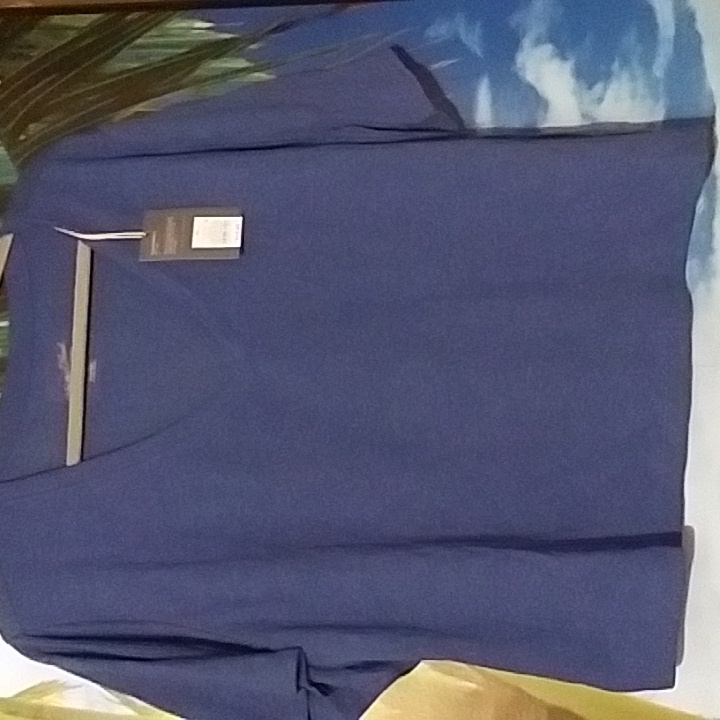 Universal Thread Linen Top